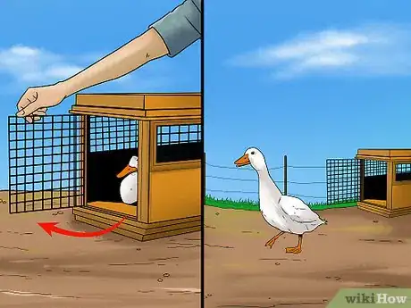 Imagen titulada Catch a Duck Step 10