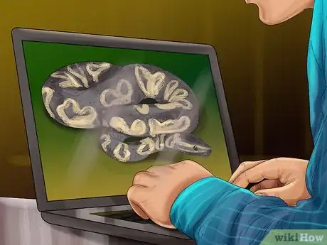 Imagen titulada Get a Pet Snake Step 3