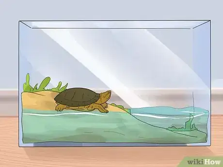 Imagen titulada Take Care of a Land Turtle Step 9