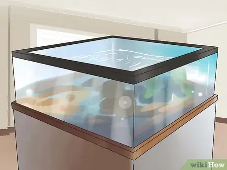 Imagen titulada Keep Your Turtle Happy Step 1