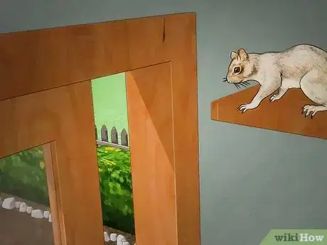 Imagen titulada Get Rid of a Squirrel in Your House Step 5