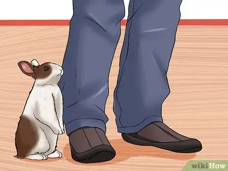 Imagen titulada Care for a House Rabbit Step 24