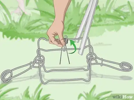 Imagen titulada Set a Conibear Trap Step 10