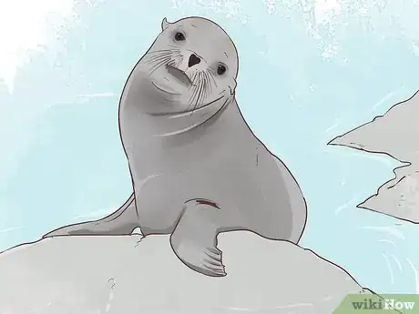 Imagen titulada Interpret a Dream Involving Seals Step 5
