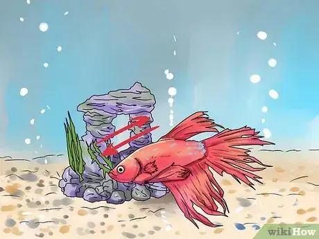 Imagen titulada Identify Finrot Step 4