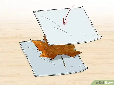 Imagen titulada Preserve Fall Leaves Step 15
