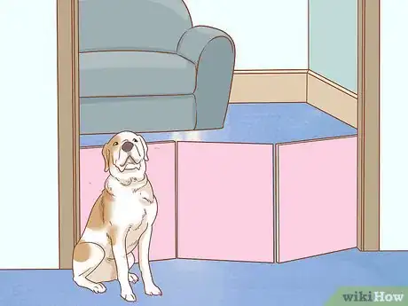 Imagen titulada Care for Dogs Step 1