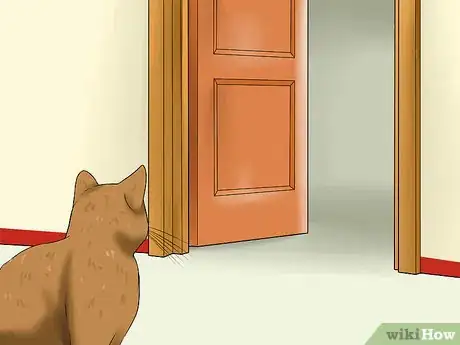 Imagen titulada Care for Indoor Cats Step 10