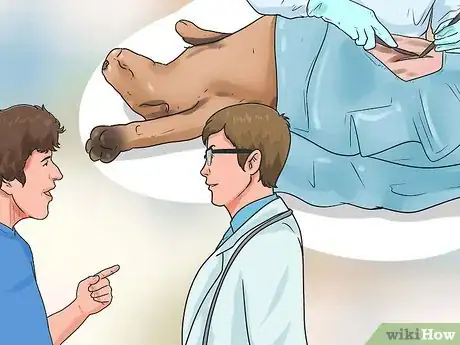 Imagen titulada Get Dogs to Mate Step 6