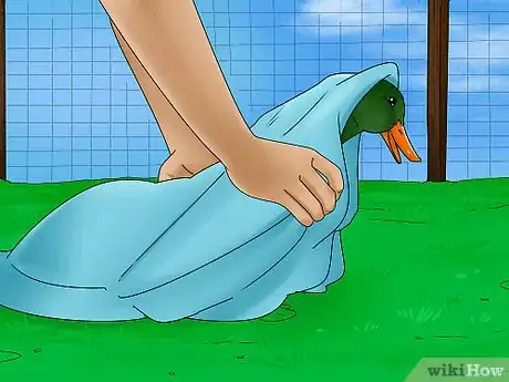 Imagen titulada Catch a Duck Step 14