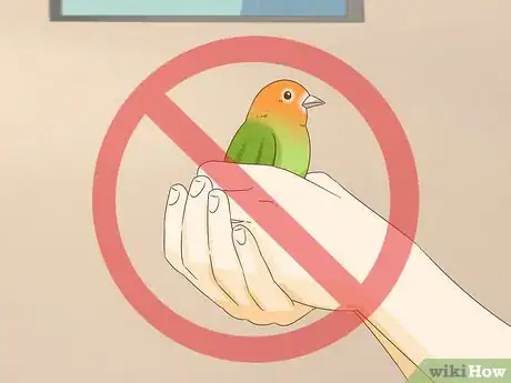 Imagen titulada Calm Down a Bird Step 15