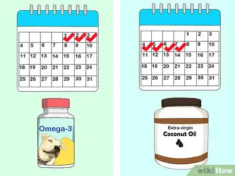 Imagen titulada Use Coconut Oil for Flea and Skin Treatment on Dogs Step 3