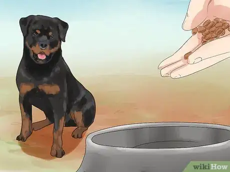 Imagen titulada Comfort Your Sick Dog Step 8