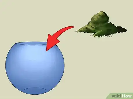 Imagen titulada Build a Self Sustaining Ecosystem Step 14
