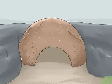 Imagen titulada Make A Habitat for Hermann’s Tortoises Step 10