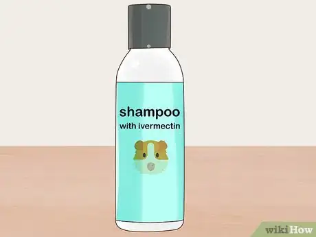 Imagen titulada Treat Mites and Lice in Guinea Pigs Step 3