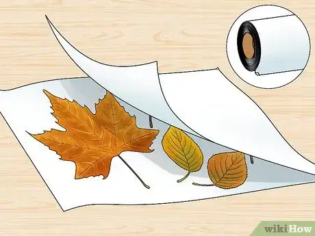Imagen titulada Preserve Fall Leaves Step 24