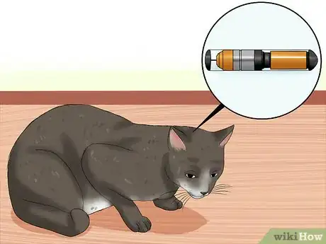 Imagen titulada Care for Indoor Cats Step 18