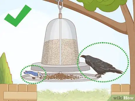 Imagen titulada Get Rid of Crows Step 4