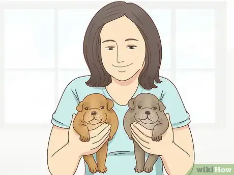 Imagen titulada Breed Pit Bulls Step 22