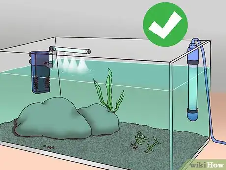 Imagen titulada Take Care of Your Carnival Goldfish Step 6