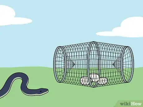 Imagen titulada Catch a Snake Step 7