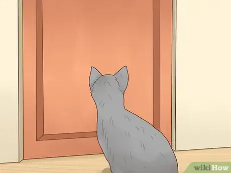Imagen titulada Stop Your Cat from Peeing on Your Bed Step 8