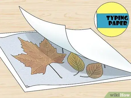 Imagen titulada Preserve Fall Leaves Step 26