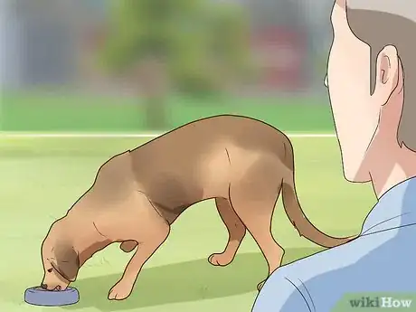 Imagen titulada Comfort Your Sick Dog Step 7