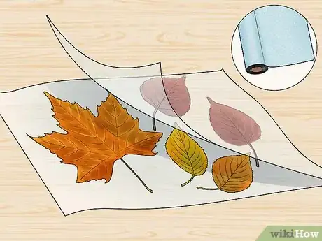 Imagen titulada Preserve Fall Leaves Step 25
