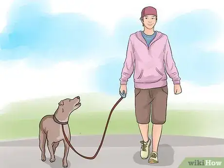 Imagen titulada Stop Your Dog from Eating Your Plants Step 13