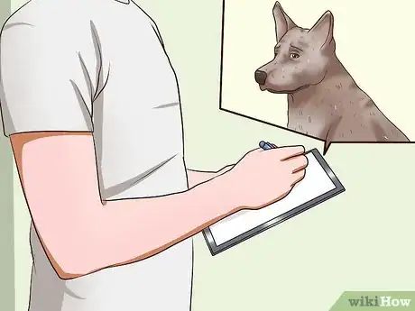 Imagen titulada Identify Different Dog Worms Step 8
