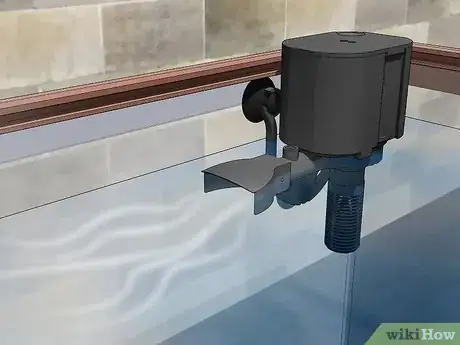 Imagen titulada Care for Mystery Snails Step 5