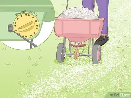 Imagen titulada Remove White Grubs from Lawns Step 7