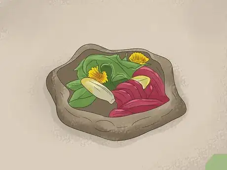 Imagen titulada Make A Habitat for Hermann’s Tortoises Step 11