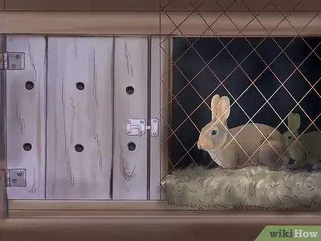 Imagen titulada Get Your Bunny Used to You Step 5