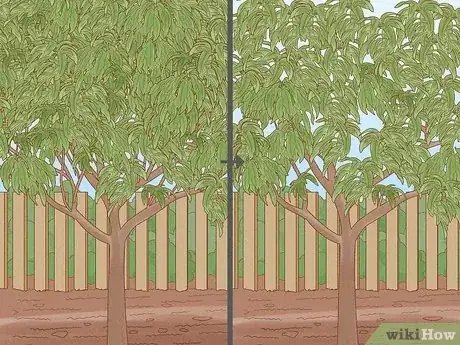 Imagen titulada Prune a Fruit Tree Step 7