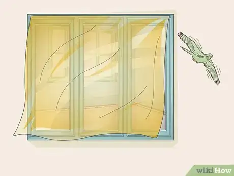 Imagen titulada Stop Birds from Attacking Windows Step 1