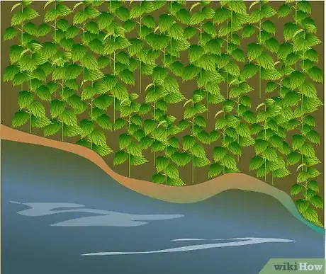 Imagen titulada Identify Nettles Step 1