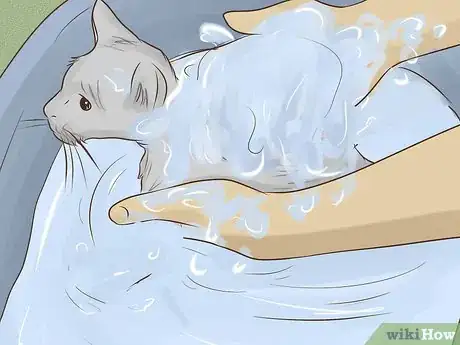 Imagen titulada Make a Homemade Cat Spa Step 5