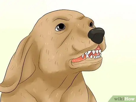 Imagen titulada Diagnose Epilepsy in Beagles Step 3