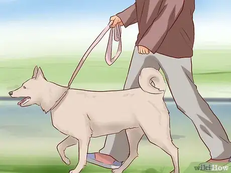 Imagen titulada Tell Your Dog No Step 8
