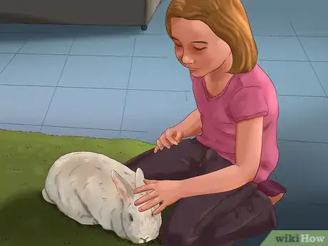 Imagen titulada Get Your Bunny Used to You Step 8