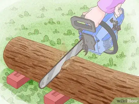 Imagen titulada Preserve Bark Step 1