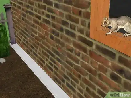 Imagen titulada Get Rid of a Squirrel in Your House Step 12