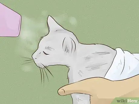 Imagen titulada Make a Homemade Cat Spa Step 6