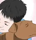 convencer a tus padres para que te permitan tener una mascota
