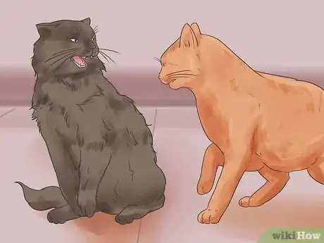 Imagen titulada Bring a Second Cat Into the Family and Not Make Your Old Cat Upset Step 12