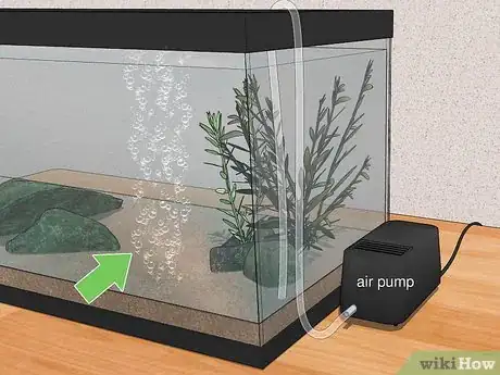 Imagen titulada Dechlorinate Water Step 3