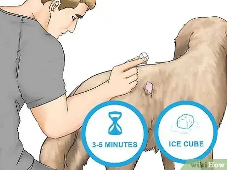 Imagen titulada Remove Chewing Gum from a Dog's Hair Step 1